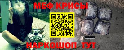 гашик Кингисепп