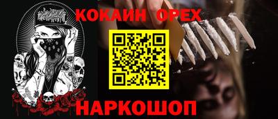 гашик Кингисепп
