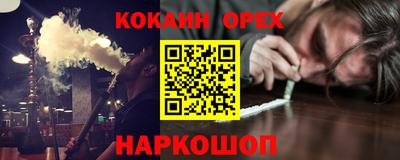 гашик Кингисепп