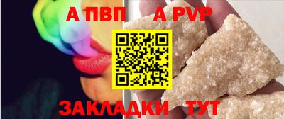 гашик Кингисепп