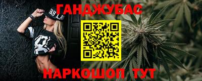 гашик Кингисепп