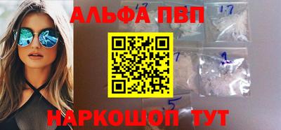 гашик Кингисепп