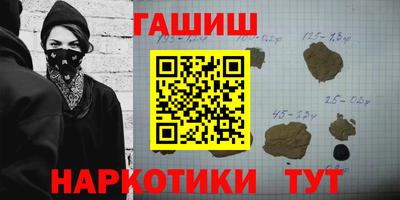 гашик Кингисепп